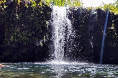 Scopri il lato selvaggio di maui con un tour di mezza giornata sulla road to hana: spiagge di sabbia nera, cascate, tartarughe e storie locali—con pickup e rinfreschi inclusi.