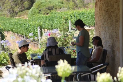 Feel the wild coast, taste margaret river wines, and share laughs with a local guide. includes hotel pickup, food tastings, and a glass of wine or beer.