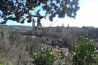 Explore urbino’s ducal palace with a local guide. discover renaissance art, hidden corners, and stories behind the palace. book your urbino tour now.