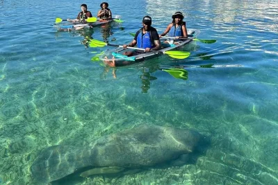 Start your day paddling condado lagoon in san juan with city views, gentle wildlife, and a local guide. includes all kayak gear and early morning peace.