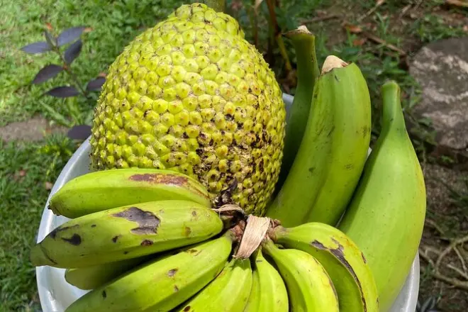 Aula de culinária caribenha em Puerto Viejo: Aprenda rondón e arroz