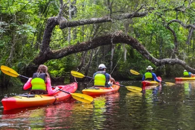 Entdecke den ruhigen lofton creek bei amelia island, sieh schildkröten & otter und paddle mit einem erfahrenen guide. kayak, ausrüstung und fotos inklusive.