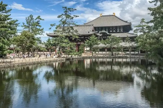 Nara Privater Tagesausflug: Großer Buddha, Tempel & Schreine