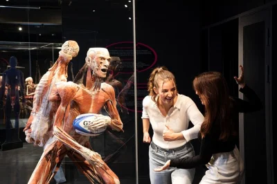 Scopri i corpi umani veri al body worlds di amsterdam, esplora la mostra the happiness project e riflettici su cosa ci rende felici. biglietto con ingresso riservato incluso.