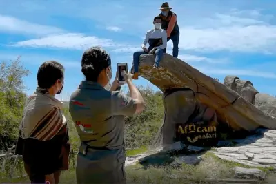 Africam Safari Zoo Eintritt mit Transport