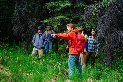 Feel the moss, taste wild berries, and walk denali’s boreal forest with a certified naturalist. includes trekking poles and supports conservation—small group, real alaska.