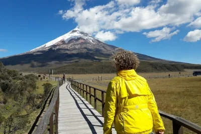 Feel the chill of cotopaxi’s slopes, walk to josé rivas refuge, and watch wild horses at limpiopungo lagoon. includes all entrances and bilingual guide.