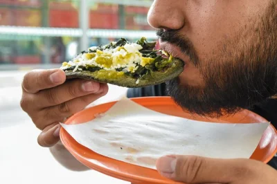 Recorre barrios de ciudad de méxico probando tacos veganos, tiramisú y más. aventura de comida callejera ilimitada con cerveza o agua fresca incluida. reserva ya.