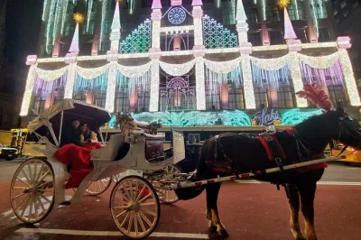 Vive la magia de las luces navideñas de nueva york en un paseo privado en carruaje de caballos. recorre rockefeller center, las luces de la 5th ave y central park. incluye mantas.