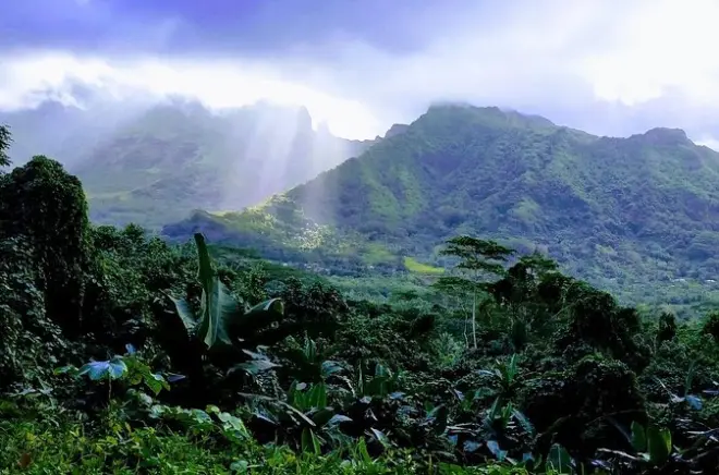 Da Uturoa 4x4: Perle, Marae e artigianato di Raiatea