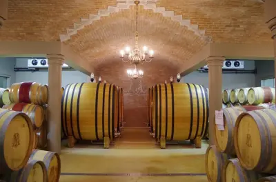 Tour de vino en Stellenbosch con enólogo: 4 a 8 horas