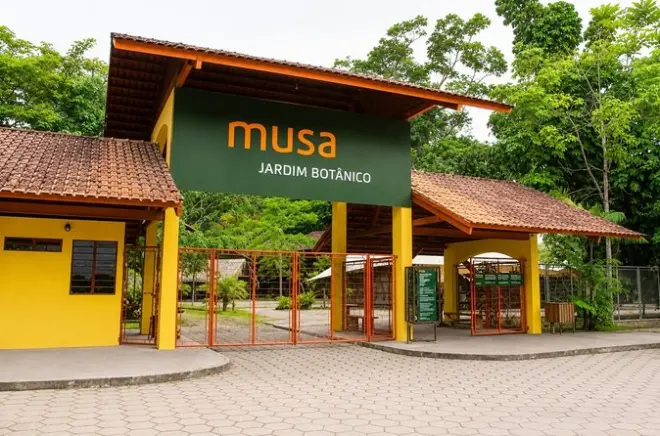 MUSA Amazonas Museum Manaus: Regenwaldpfade & 42-m-Turm