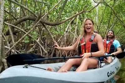 Feel the quiet magic of cocoa beach’s mangrove tunnels, spot dolphins and manatees up close, and paddle with a local guide. small group kayak tour includes all gear.