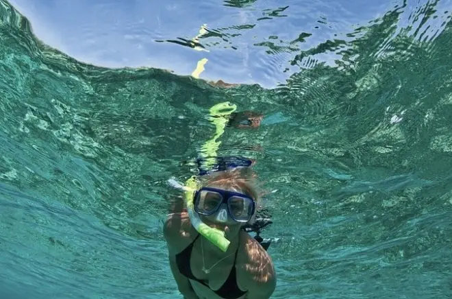 Snorkeling in Pensacola Bay: Small-group reef tour with dolphins