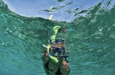 Snorkeling in Pensacola Bay: Small-group reef tour with dolphins