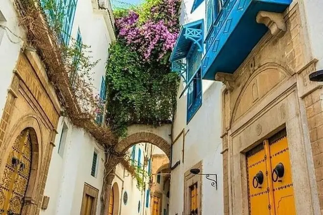 Tunis, Carthage et Sidi Bou Said : Guide privé et déjeuner inclus