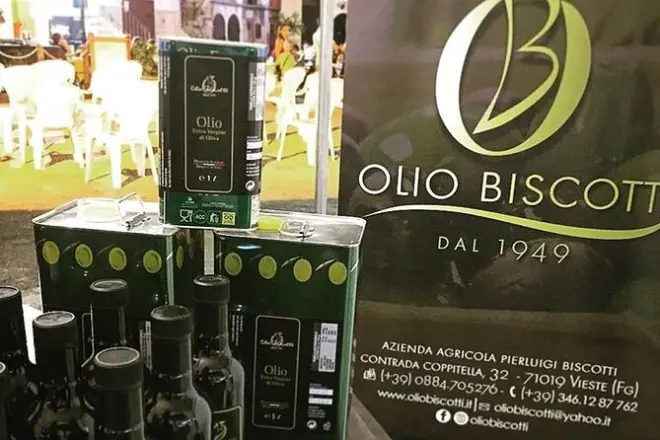 Learn olive oil production in Vieste: Tasting and mill tour
