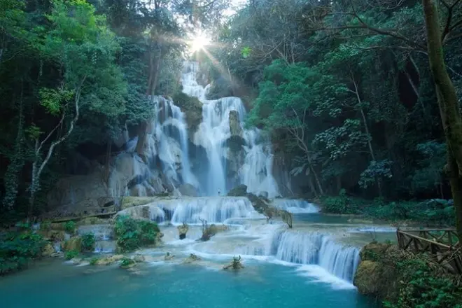Luang Prabang Tagestour: Höhlen, Wasserfall & Bärenschutzgebiet