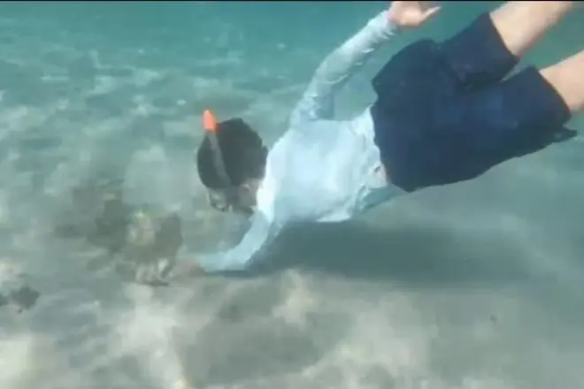 Snorkel en playa blanca Jaco con guía local