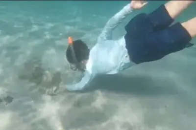 Snorkel en playa blanca Jaco con guía local
