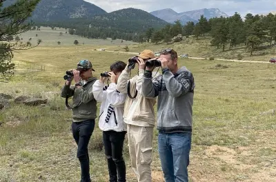 Rocky Mountain National Park tour: Wildlife with local guide