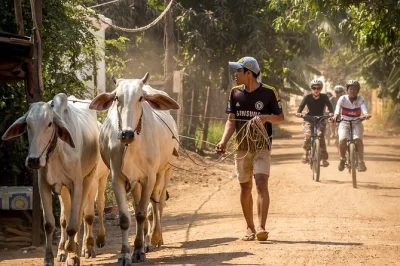 Pedal quiet roads and ferry the mekong to cambodia’s silk islands. meet local families, taste khmer lunch, and see silk weaving up close. includes bikes & guide.