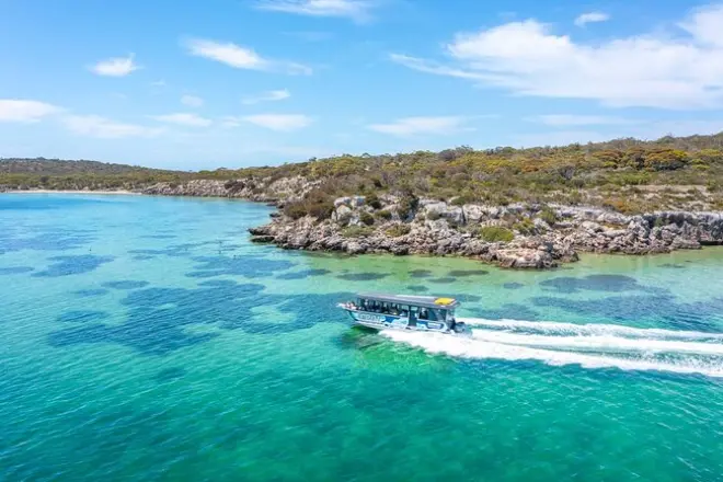 Fattoria ostriche Coffin Bay: Apri e gusta ostriche fresche