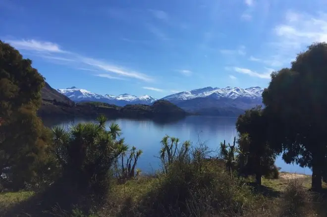 Escursione e crociera a Ruby Island: Lago Wanaka in 1 ora