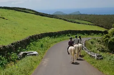Cavalgada na Terceira: Vista do vulcão e trilhas na floresta