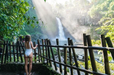 Descubre ubud: pasea por arrozales, nada en la cascada tegenungan y conoce a los macacos del bosque de los monos. tour privado con guía local, almuerzo y recogida incluida.