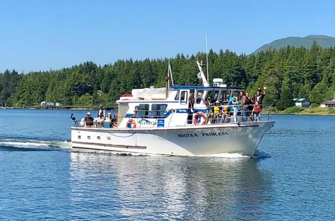 Walbeobachtung ab Ucluelet: Grauwale und Orcas
