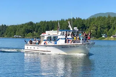 Walbeobachtung ab Ucluelet: Grauwale und Orcas