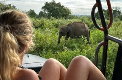 Udawalawe Nationalpark Safari ab Mirissa oder Weligama