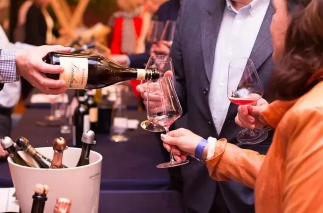 Blaufränkisch Wine Tasting in Central Burgenland with Sommelier