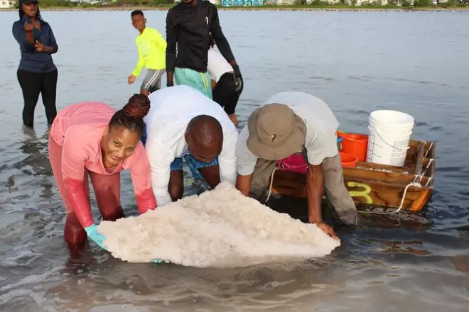 Cosecha de sal en Anguilla en las salinas de Road Bay Pond