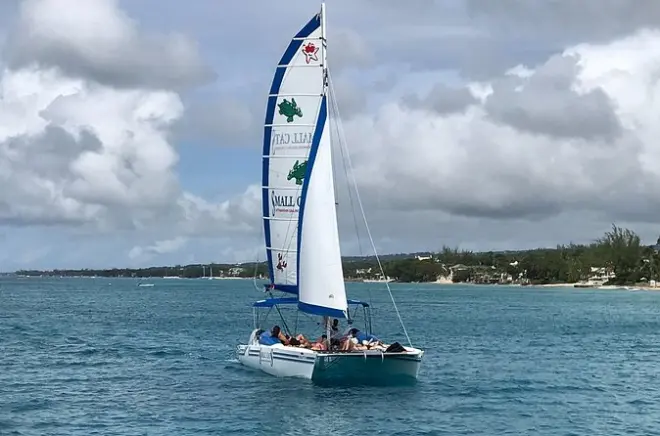 Carlisle Bay Barbados: Schnorcheln mit Schildkröten & Wracks