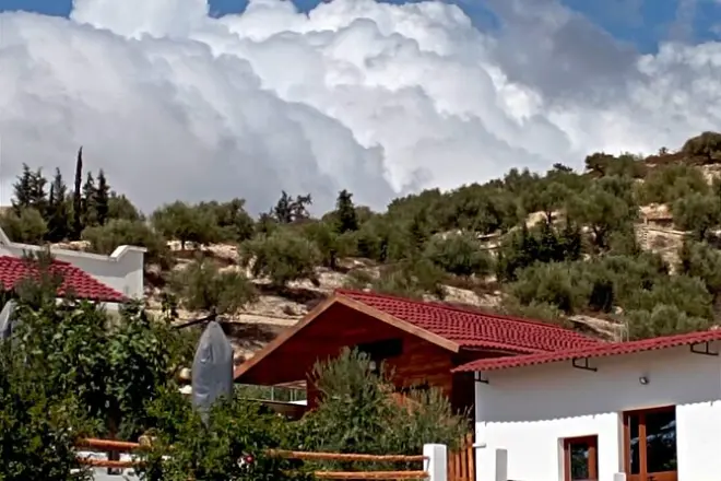 Oudhna Roman Ruins & Olive Grove Guided Day Tour