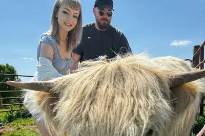 Scottish Highland Cattle Experience at Cedar Pond Farms