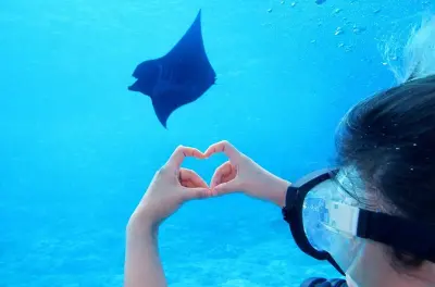Snorkeling a Ishigaki: Barca privata, senza bisogno di patente