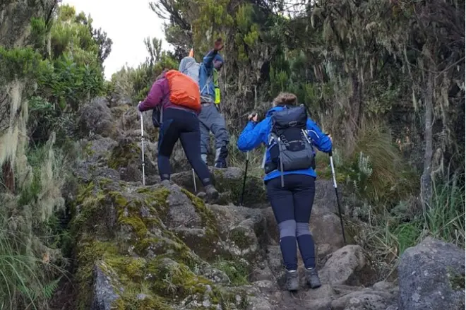 Ascension Kilimandjaro Lemosho, chemin calme vers le sommet Uhuru