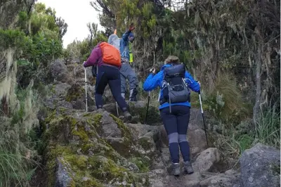 Ascension Kilimandjaro Lemosho, chemin calme vers le sommet Uhuru