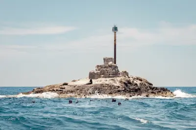 Safari marinho em La Ventana: Golfinhos, tubarões, baleias