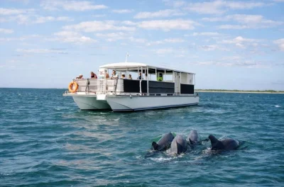 Panama city beach erleben: delfine hautnah auf einer entspannten bootstour im golf von mexiko beobachten, mit kühlen drinks und entspannter insel-atmosphäre – inklusive erfahrener kapitän.