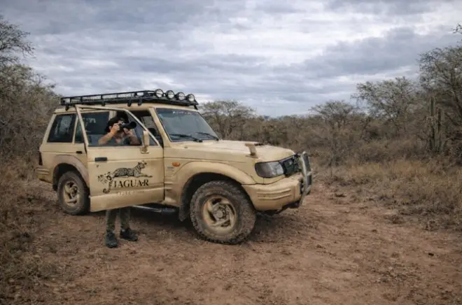Safari off-road no Chaco paraguaio com vida selvagem e paisagens