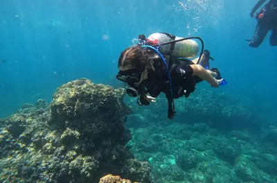 Tauchen in Los Arcos de Mismaloya: Anfänger mit Guide