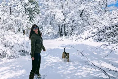 Big Bear Lake avventura sulla neve: Guida locale e posti nascosti