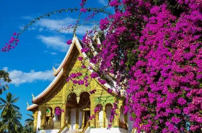 Luang Prabang Tempel & Königspalast: Private 6-Stunden-Tour