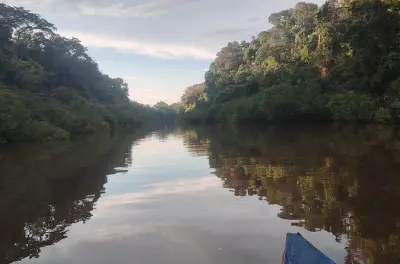 Amazon Rainforest Tour: 3-Day Small Group with Guides