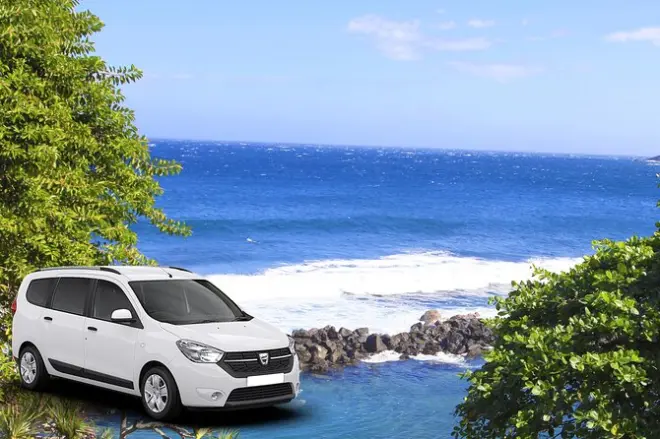 Visite privée du sud sauvage de la Réunion avec chauffeur-guide