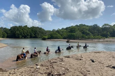 Viva a experiência de cavalgada em samara, costa rica: trilhas na selva, avistamento de macacos, descanso na praia buena vista, com transfer e pausa para frutas.